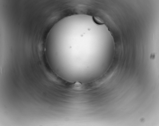 X0000103320088200809192150