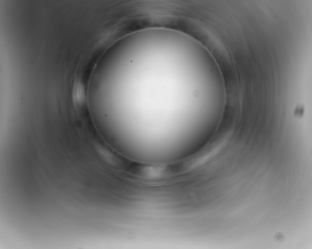 X0000103320089200809192150