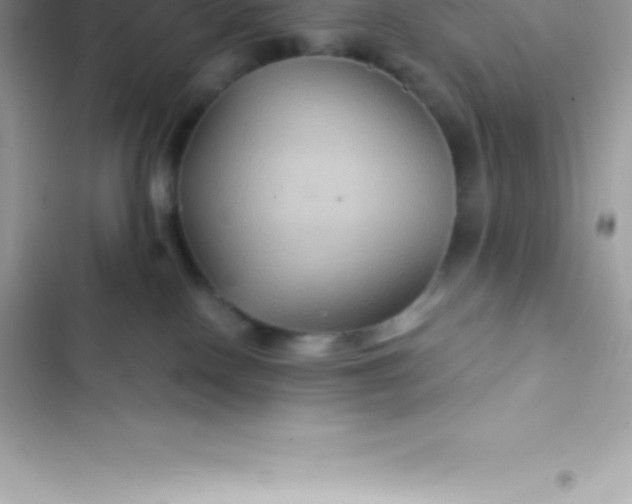 X0000103320090200809192150