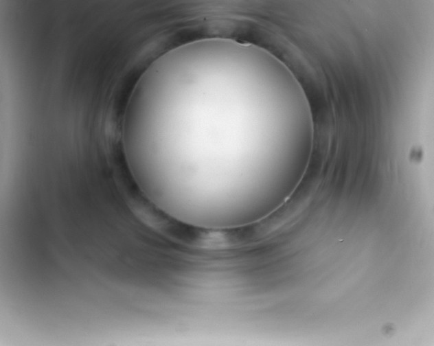 X0000103320091200809192150