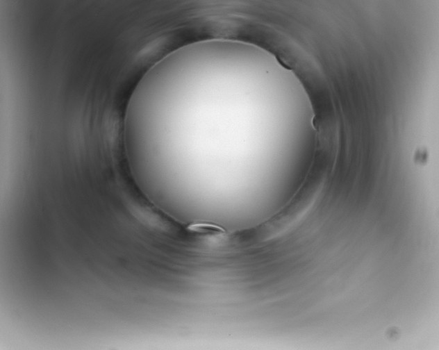 X0000103320092200809192150