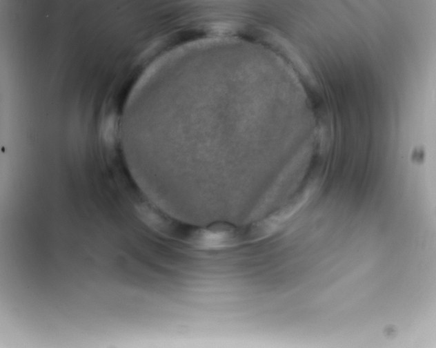 X0000103320093200809192150