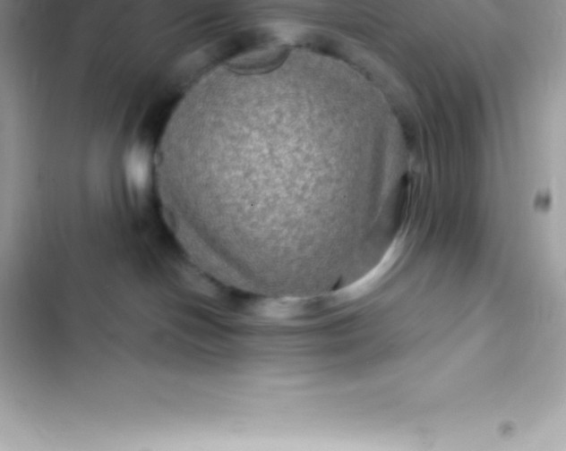 X0000103320094200809192150