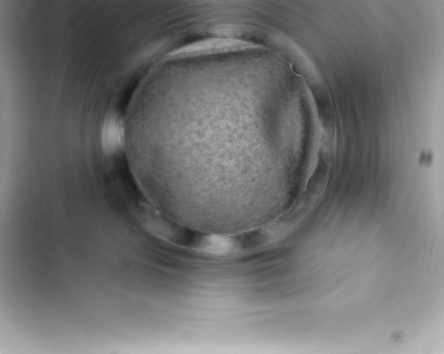 X0000103320095200809192150