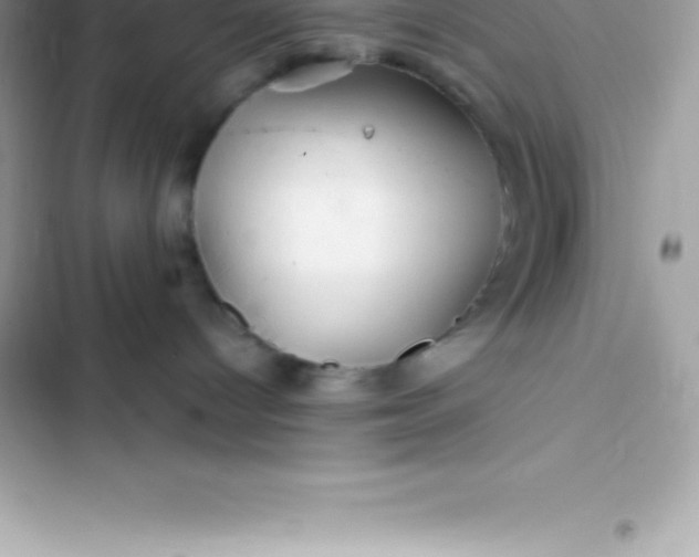 X0000103320096200809192150