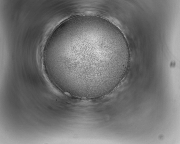 X0000103320097200809192150