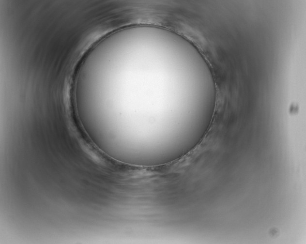 X0000103320098200809192150