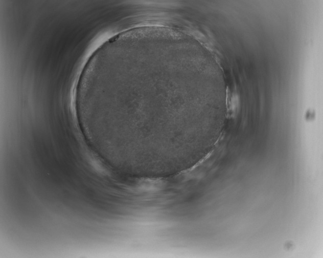 X0000103320099200809192150