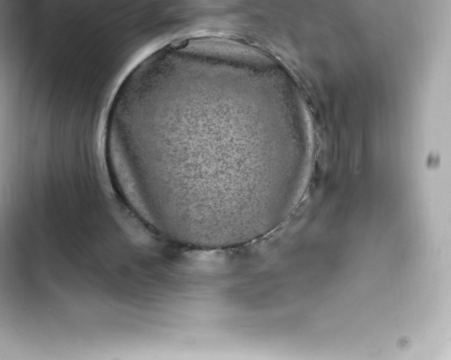 X0000103320100200809192149