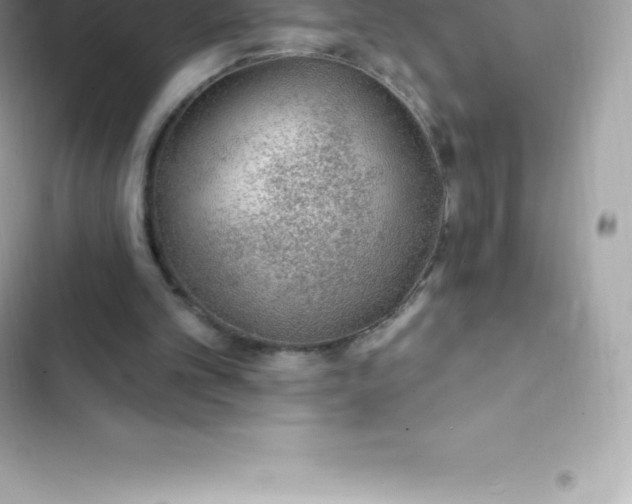 X0000103320101200809192149