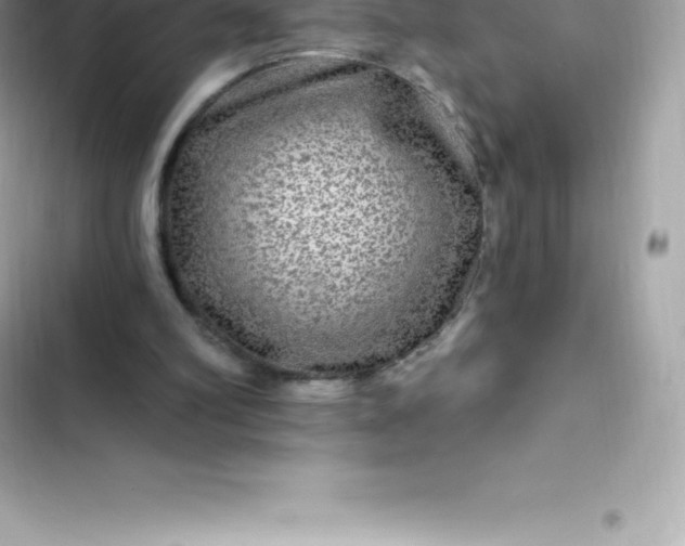 X0000103320102200809192149