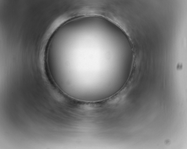 X0000103320103200809192149