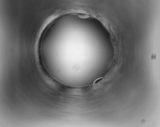 X0000103320104200809192149