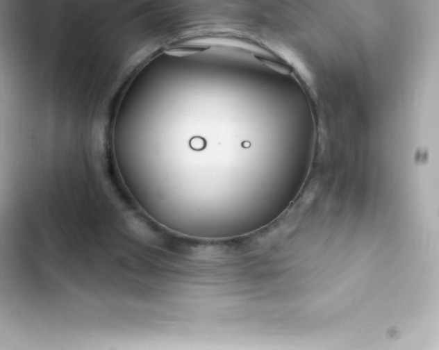 X0000103320105200809192149