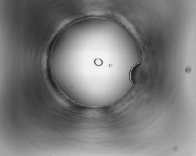 X0000103320106200809192149