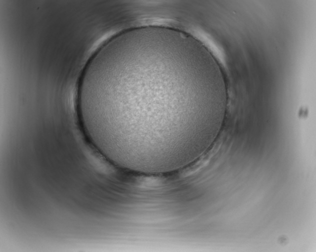 X0000103320107200809192149