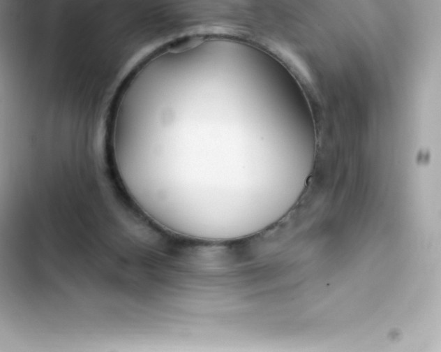 X0000103320108200809192149