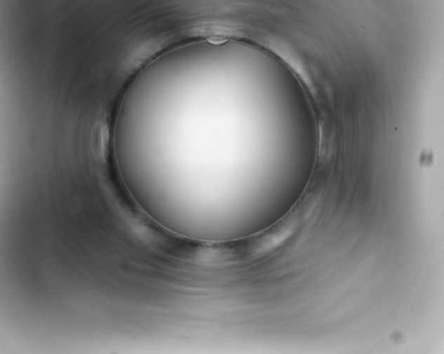 X0000103320109200809192149