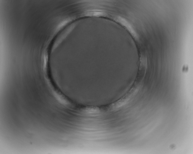 X0000103320110200809192149