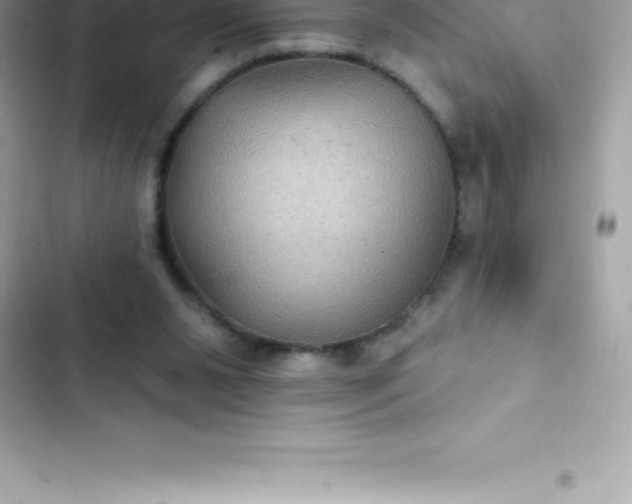 X0000103320111200809192149