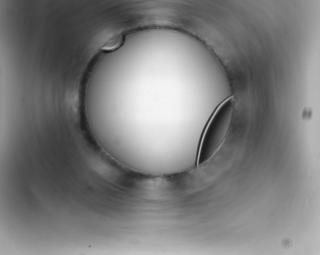 X0000103320112200809192149