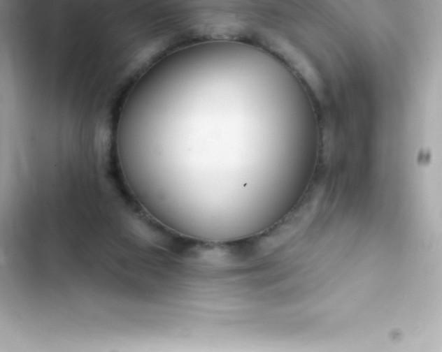 X0000103320113200809192149