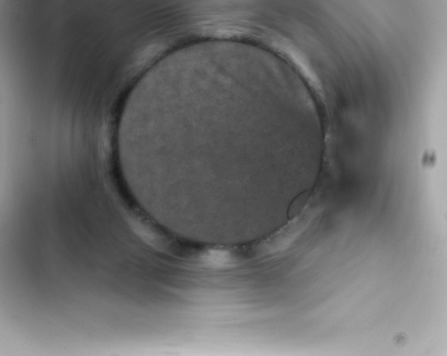 X0000103320114200809192149