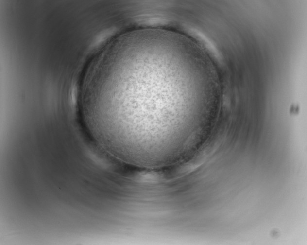 X0000103320115200809192149