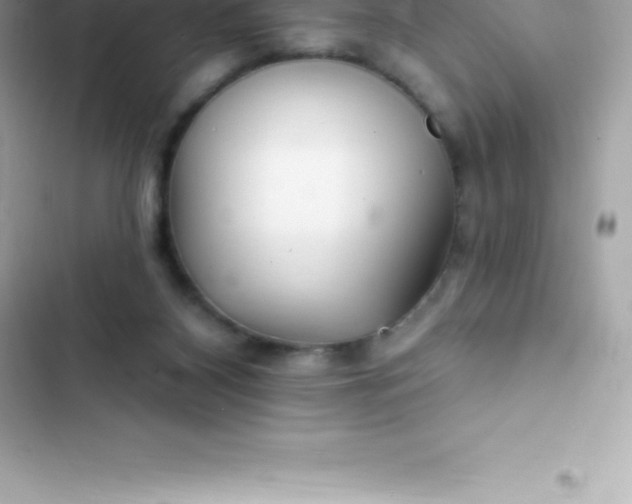 X0000103320116200809192149