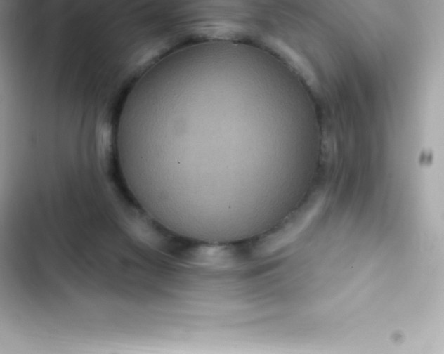 X0000103320117200809192149