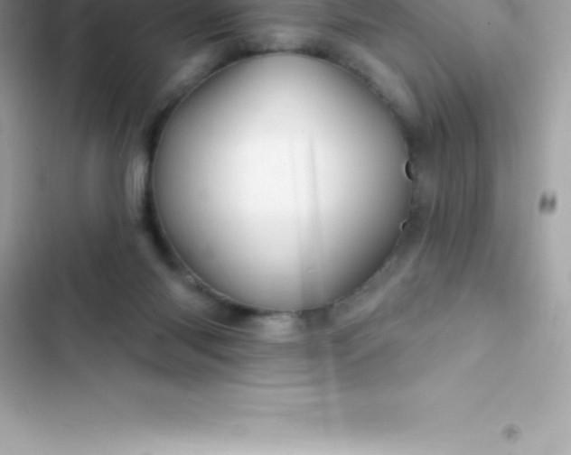 X0000103320118200809192149