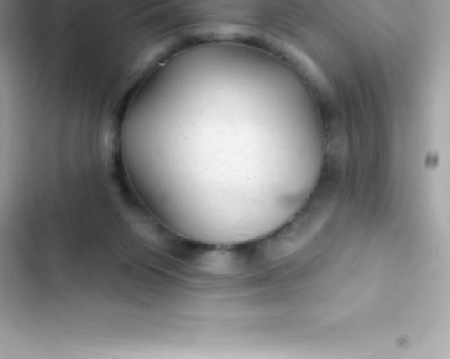 X0000103320119200809192149