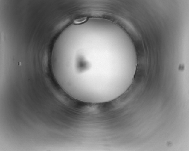 X0000103320120200809192149