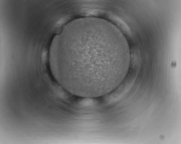 X0000103320123200809192149