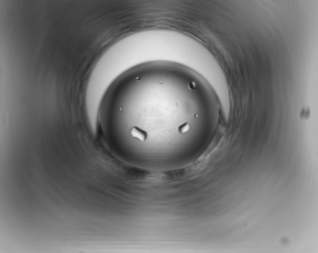 X0000103320124200809192149