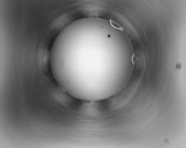 X0000103320125200809192149