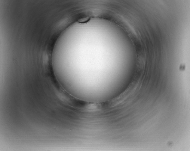 X0000103320126200809192149