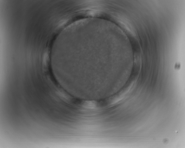 X0000103320127200809192149