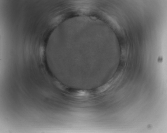 X0000103320130200809192149