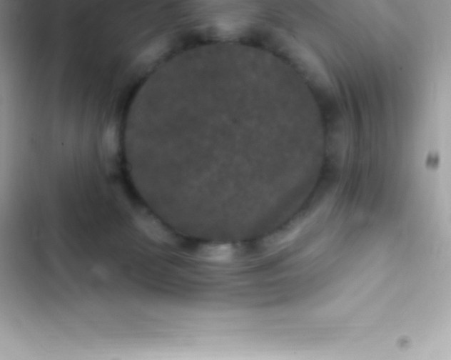 X0000103320131200809192149