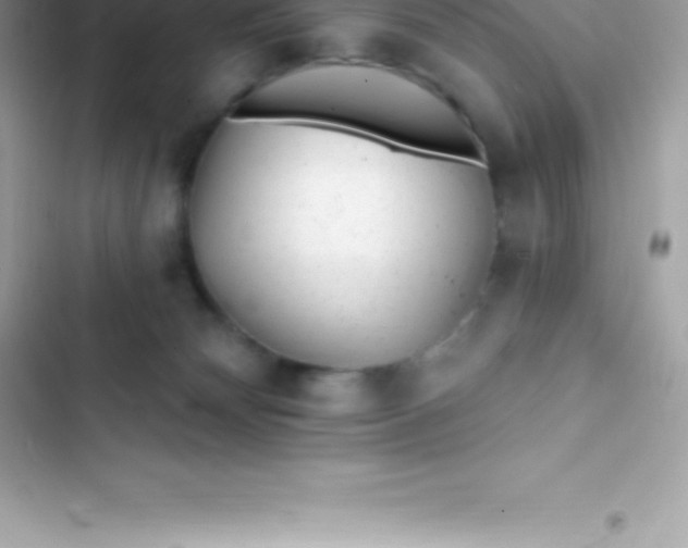 X0000103320132200809192149