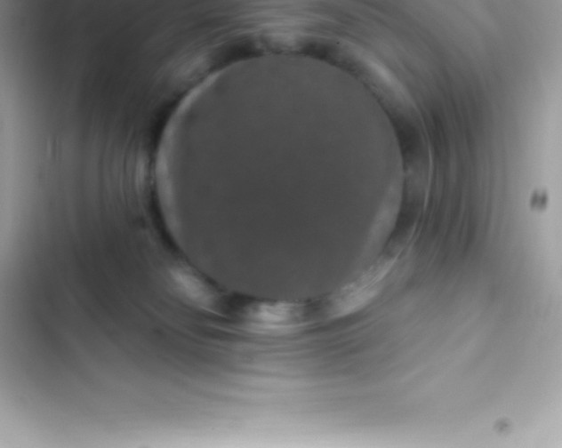 X0000103320134200809192149