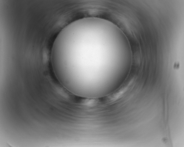 X0000103320135200809192149