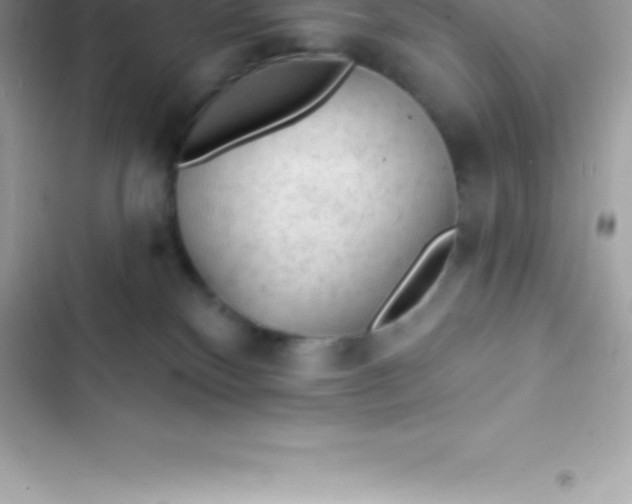 X0000103320136200809192149