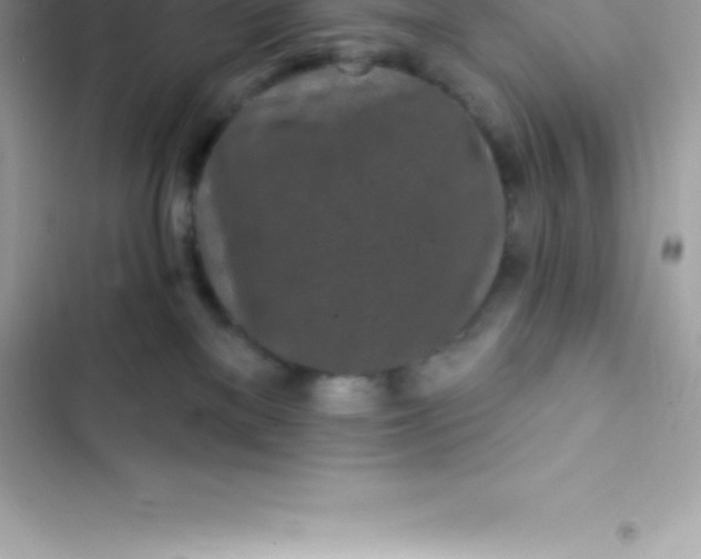 X0000103320137200809192149