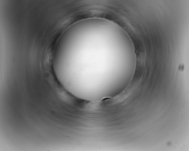 X0000103320138200809192149