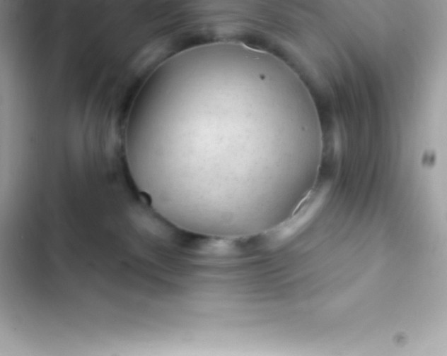 X0000103320140200809192149