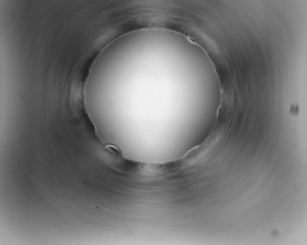 X0000103320141200809192149