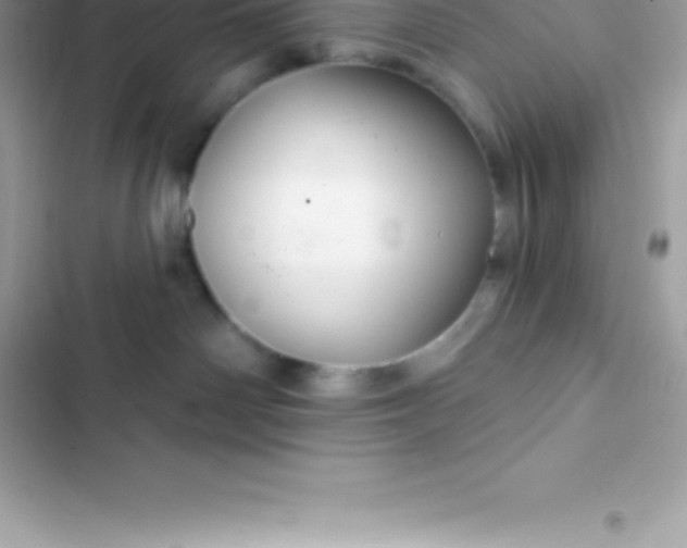 X0000103320142200809192149