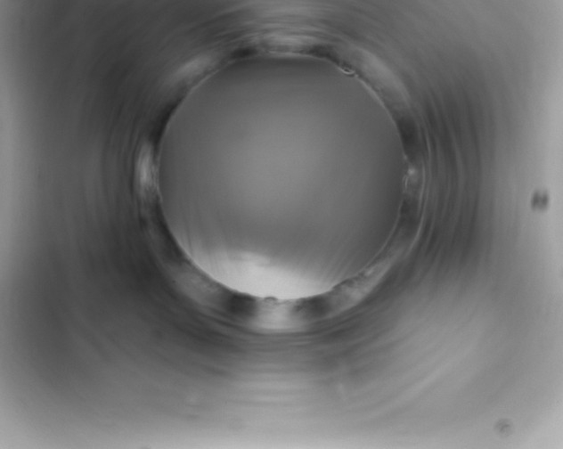 X0000103320143200809192149